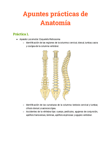 Practicas-de-Anatomia-Humana.pdf