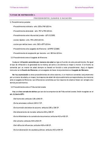 T.9-Fase-de-instruccion-I.pdf