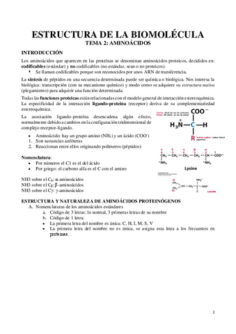 TEMA-3-Aminoacidos.pdf
