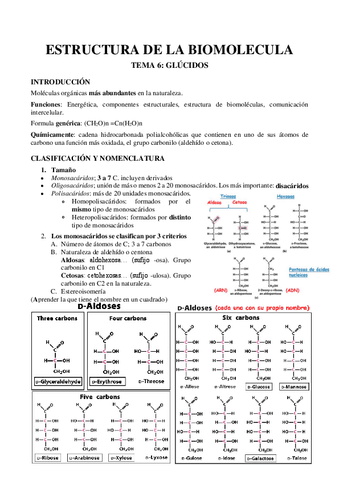 TEMA-7-Glucidos.pdf