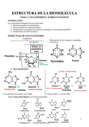 TEMA-8-Nucleotidos-y-acidos-nucleicos.pdf