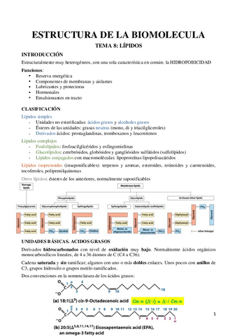 TEMA-9-Lipidos.pdf