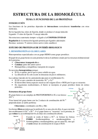 TEMA-6-Funciones-de-las-proteinas.pdf