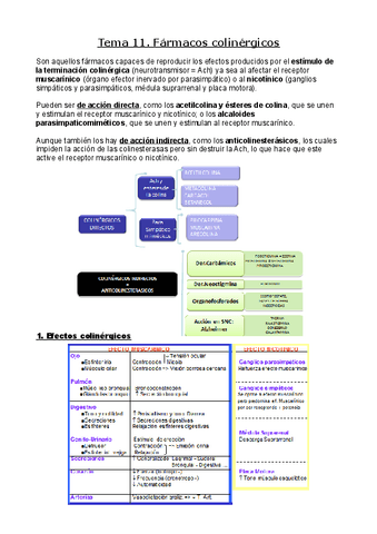 Tema-11.-Farmacos-colinergicos.pdf