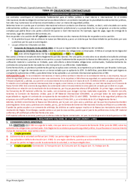 TEMA 18 INTERNACIONAL PRIVADO.pdf