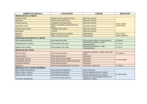 Tabla de músculos 2022/2023 + Imágenes.pdf