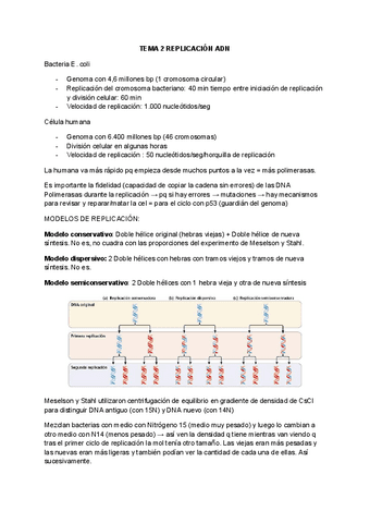 Tema-2-Molecular.pdf