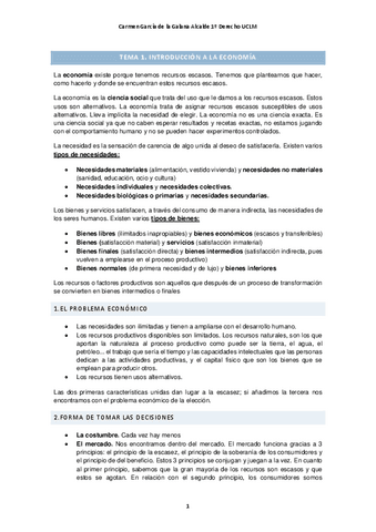 ECONOMIA 2º CUATRI.pdf