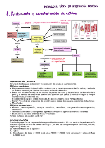 Tema-1-metodologia.pdf