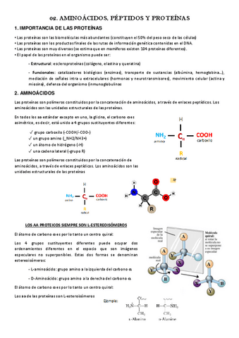 02.-AMINOACIDOS-PEPTIDOS-Y-PROTEINAS.pdf