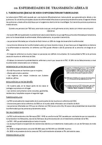 09.-ENFERMEDADES-DE-TRANSMISION-AEREA-II.pdf
