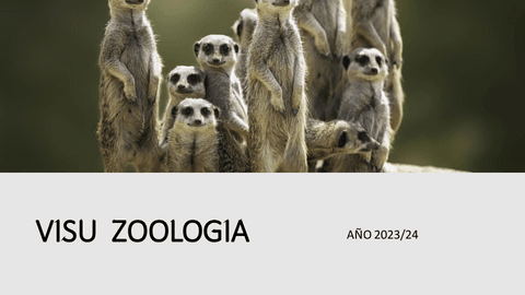Visu-Zoologia- 2023/24.pdf