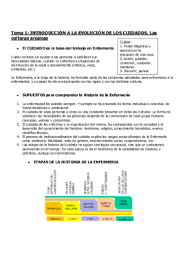 tema1 historia.pdf