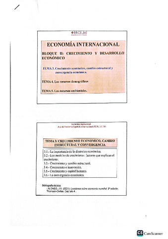 Tema-3economia-internacional.pdf