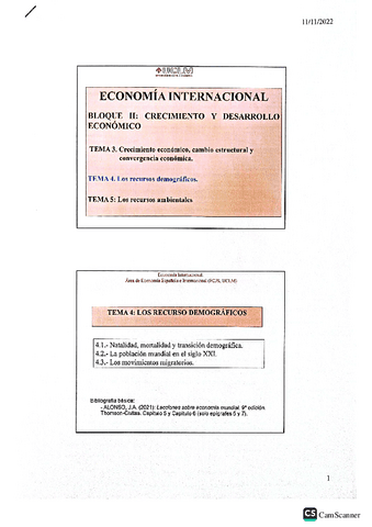 Tema-4Economia-internacional.pdf
