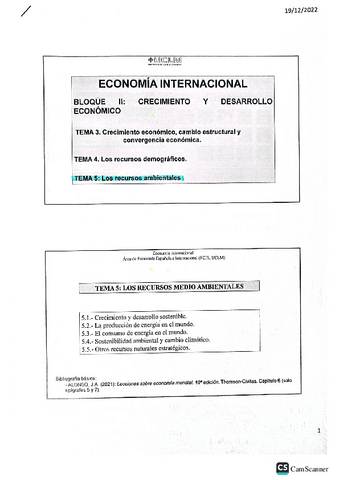 Tema-5Economia-Internacional.pdf