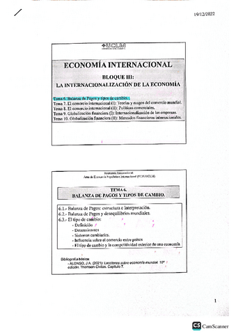 Tema-6Economia-internacional.pdf