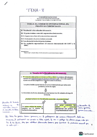 Tema-8Economia-Internacional.pdf