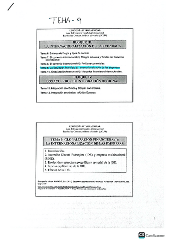 Tema-9Economia-internacional.pdf