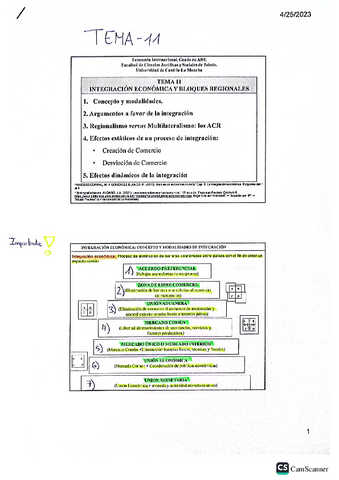 Tema-11Economia-internacional.pdf