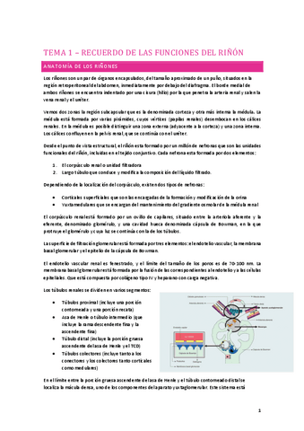 PG-1o-PARCIAL.pdf