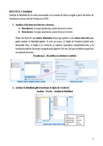 Resumen-practicas.pdf