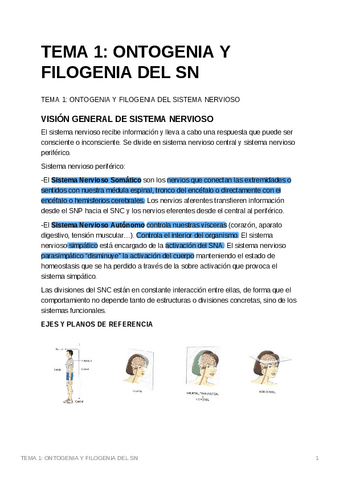 psicobiologia-ii.pdf