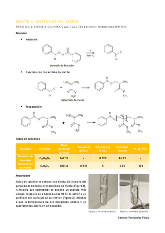 INFORME-PRACTICA-POLIMEROS.pdf