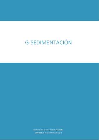 Informe-Sedimentacion.pdf