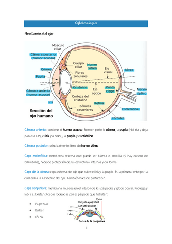 2.-Oftalmologia.pdf