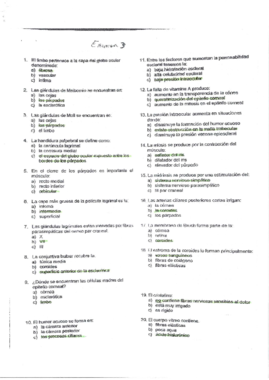 Examen 3.pdf