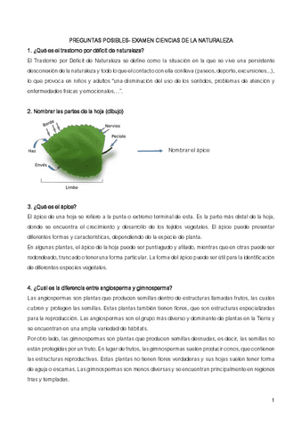 Examen-naturales.pdf