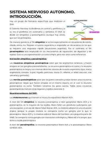SISTEMA-NERVIOSO.pdf