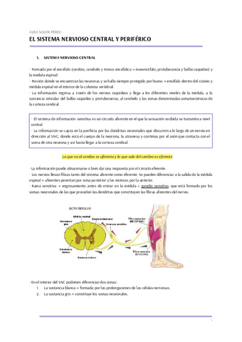 FISIOLOGIA-T.8-1.pdf