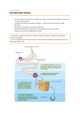 BIOQUIMICA-T.9-2.pdf