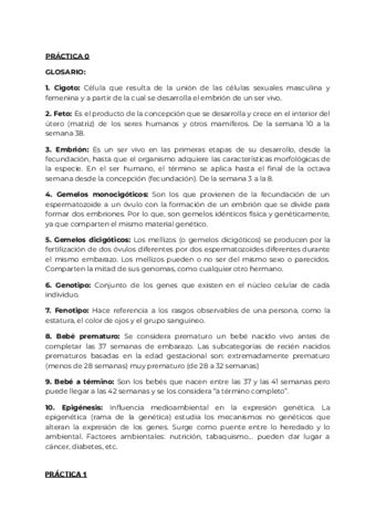TEMARIO-EXAMEN-PRACTICA.pdf