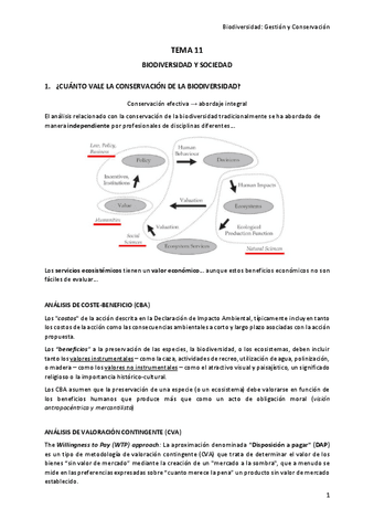 TEMA-11.pdf