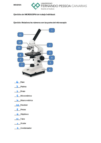 A01.pdf