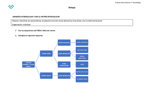 A04-Adhesion-celular-2.pdf