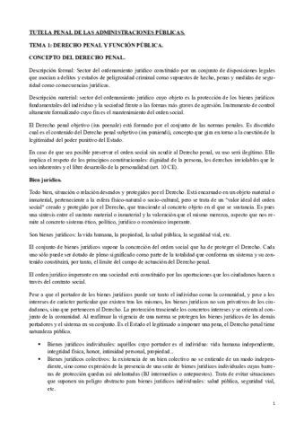 Tutela Penal de las AAPP.pdf