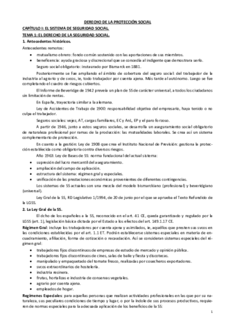 Derecho-de-la-Protección-Social.pdf