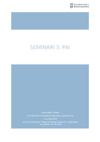 Seminari-3-PAI.pdf