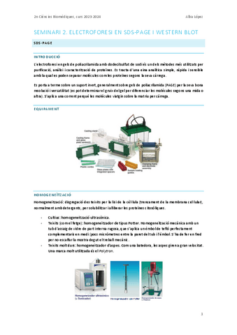 Seminari-2.-Tecniques-electroforetiques-de-SDS-page-i-Western-Blotting.pdf