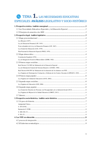 TEMA 1 NEE análisis.pdf