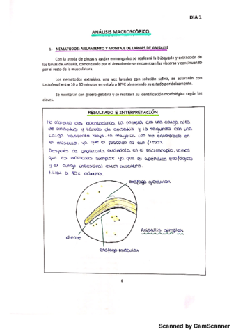 practicas Para_20180522101805.pdf