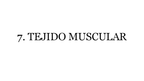 7.-TEJIDO-MUSCULAR.pdf