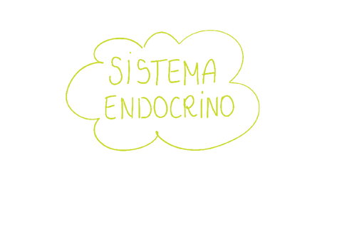 RESUMEN-SISTEMA-ENDOCRINO.pdf