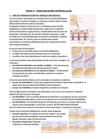 APUNTES-T.-9..pdf