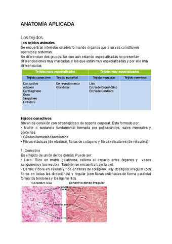 Anatomia-aplicada-T2-tejidos.pdf