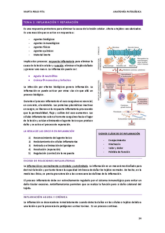 ANATOMIA-PATOLOGICA-tema-3.pdf
